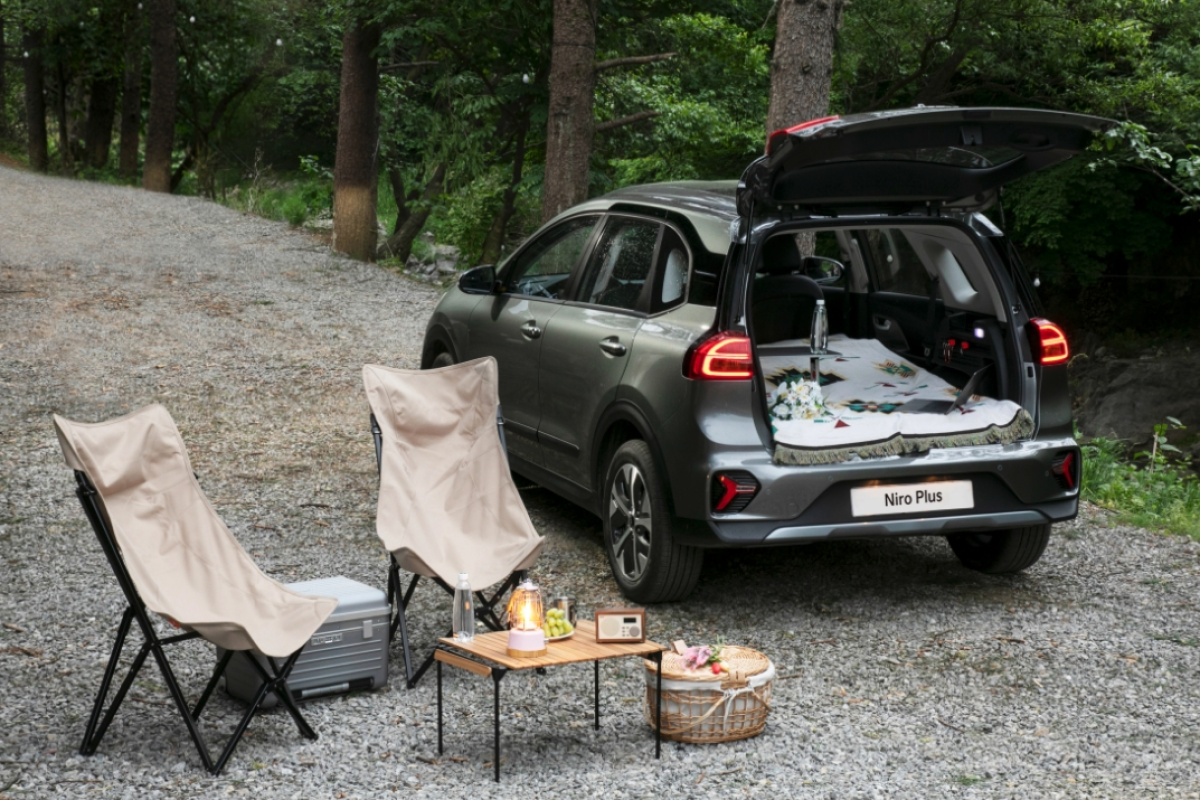 Kia niro accessories online 2019